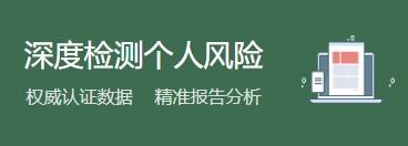个人高级版报告介绍