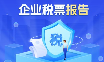 企业税费报告介绍